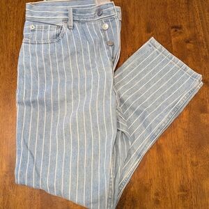 Everlane The 90s Cheeky Pinstripe Jean